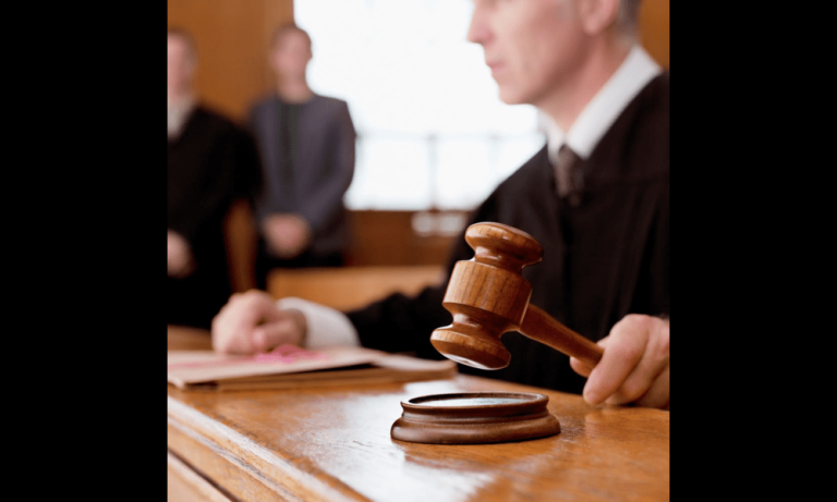 The Voice of Justice: Advocacy through Law