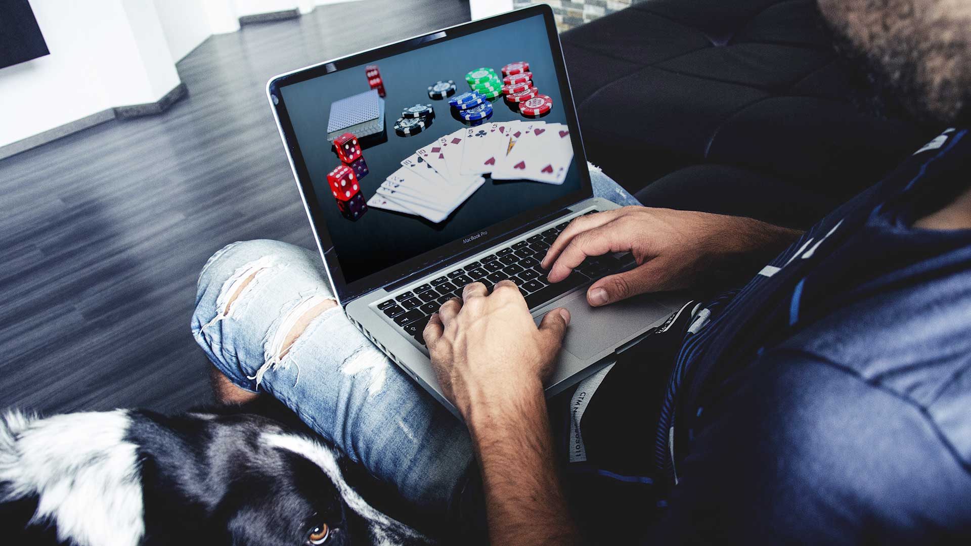 Rajapoker88: The Premier Poker Gaming Site