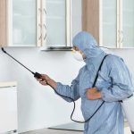 Safe Pest Control for Fruit Trees