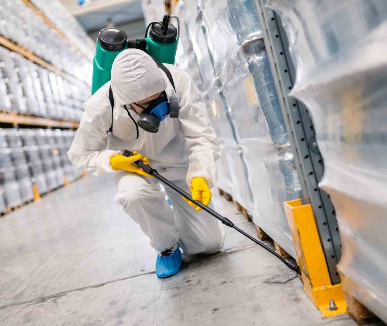 Commercial Pest Control Services: Maintaining Cleanliness and Compliance in Your Business