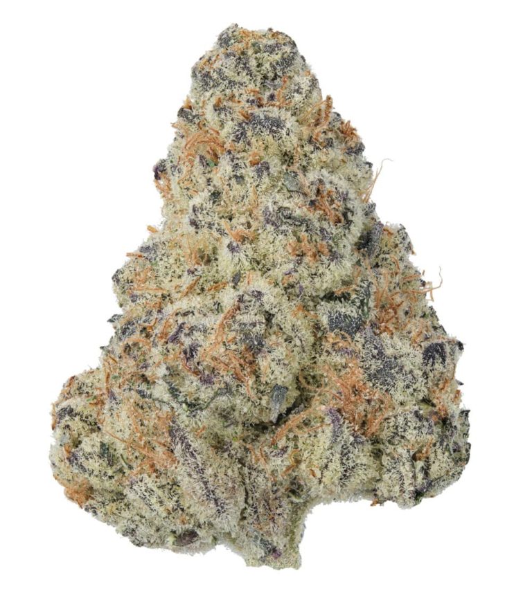 Organic Harvest: Exploring the Best Organic THCA Flower Picks
