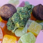 The Allure of Delta 9 Gummies A Modern Approach to Stress Relief